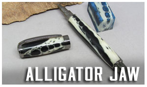 Alligator